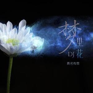 梦里花（DJ版）
