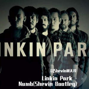 Numb(Shevin Bootleg)