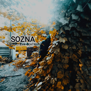 Дроны летают над головой