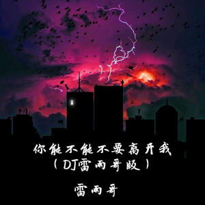 你能不能不要离开我（DJ雷雨哥版）