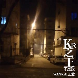 K歌之王不是我 (伴奏)