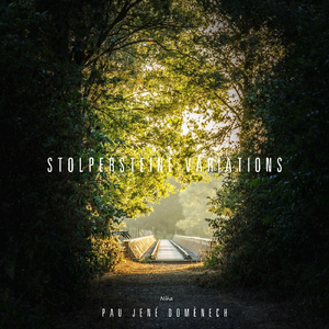 Nina, Stolpersteine Variations