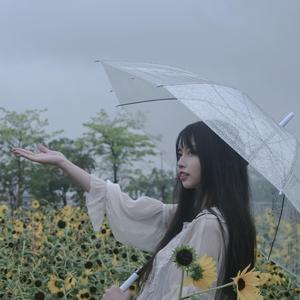 飞鸟和蝉