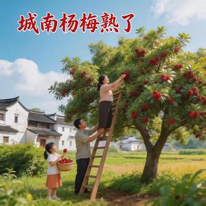 城南杨梅熟了