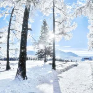 你和雪有一个共同点