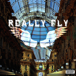 REALLY FLY
