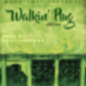 Walkin' Plug (LLC)