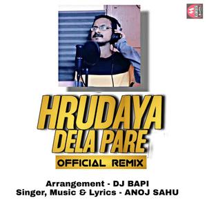 Hrudaya Dela Pare (Official Remix)