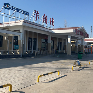 马年 咱就这么活