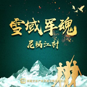 雪域军魂