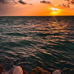 Le Gustan Los Gangster