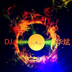 DJ慢嗨