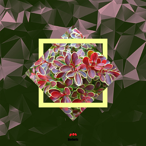 Mi Boat (Original Mix)