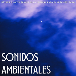 Ventana Meditativa De Lubricación Y Yoga