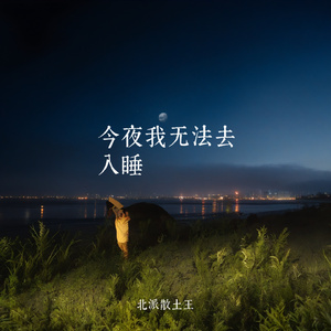 今夜我无法去入睡