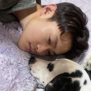 再见爱人，乌托邦