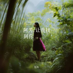 阿芳，让我找到你