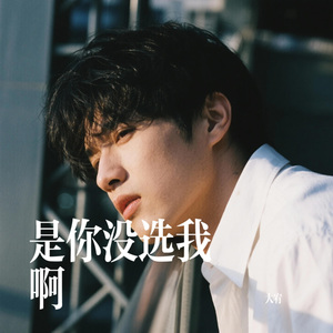 是你没选我啊