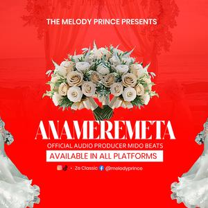 Anameremeta