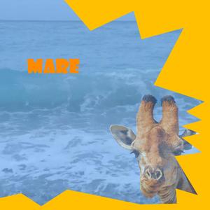 Mare