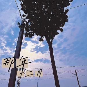 那年十二月