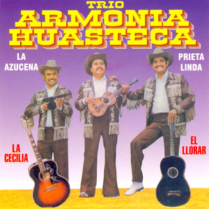 Mi Zimapan