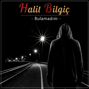 Bulamadım