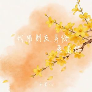 我用朋友身份爱着你