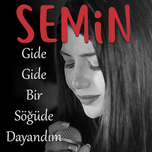 Gide Gide Bir Söğüde Dayandım