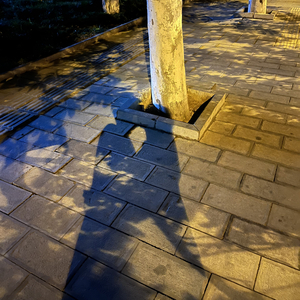 一直（ProdEVOMUSIC）