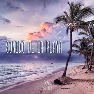 Sonido de la Playa, Pt. 15