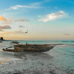 Somewhere I'd Rather Be