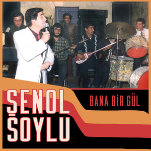 Munzur Dağı Silelenmiş