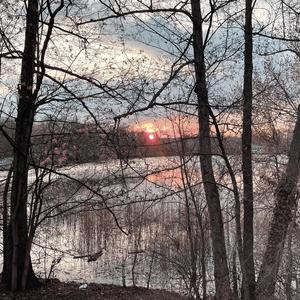 Reverie (feat. Emina Sonnad)