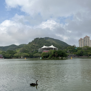 你没选我