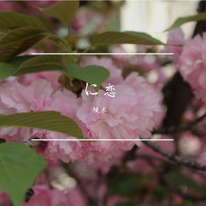 そっと見るだけ