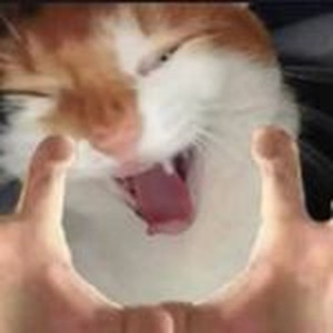 girls like me don't cry