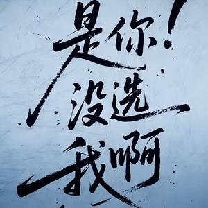 是你没选我啊(撕裂版)
