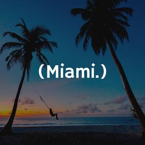 Venice to Miami Skate