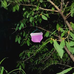 第负三十七交响曲