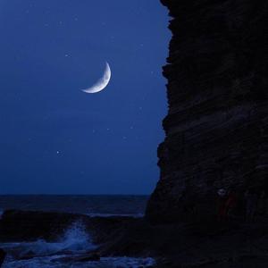 会不会（温柔男声版）