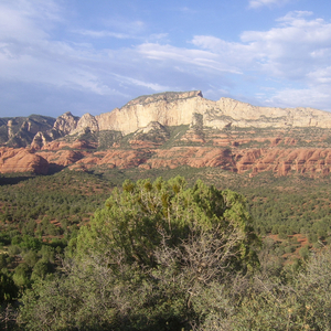 Большая надежда