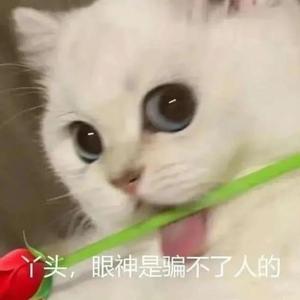 麦浪