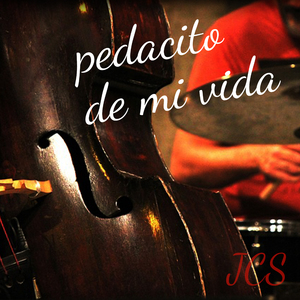 Pedacito de Mi Vida