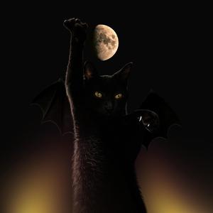 Ir (Finalmente Livre)