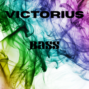 BASS (Extended Version)