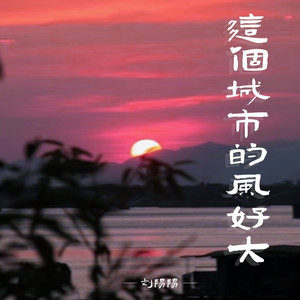 这个城市的风好大（这些年我过得还好吗）