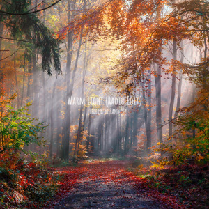 Warm Light (Radio Edit)