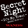 WANDS - Secret Night～It's My Treat～ [WANDS 第五期 ver.]