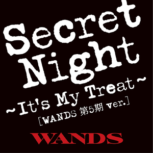Secret Night～It's My Treat～ [WANDS 第五期 ver.]